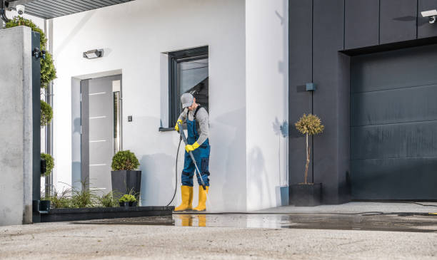 Best Fence Cleaning  in Reedley, CA
